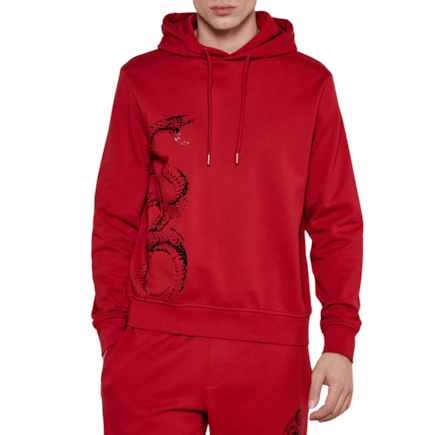 image_cc523c01-bfcd-4f3d-9ef0-a84afb3e33dc