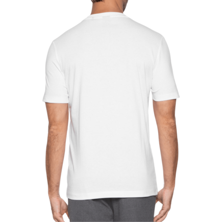 image_4437563d-bfd6-4b3f-8183-b511602f00b9