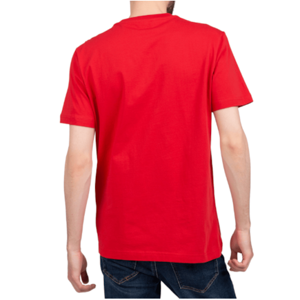 image_e6a8a45b-762c-4302-99d7-74d9117353f5