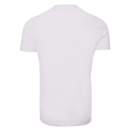 image_bb3ea08e-955a-40ba-86a1-0fce08f79be7