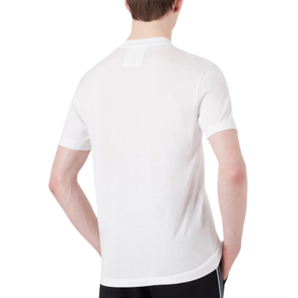 image_56611297-efa9-4213-8403-57dcb3b231fc