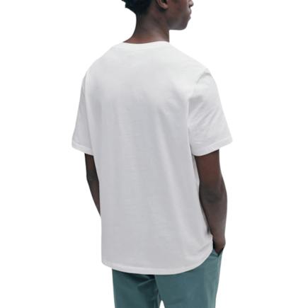 image_810ce0e0-f021-46ae-9d52-340de7d32932