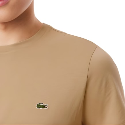 image_db79a0c5-294d-4dae-ac0f-4f19c8716fc1