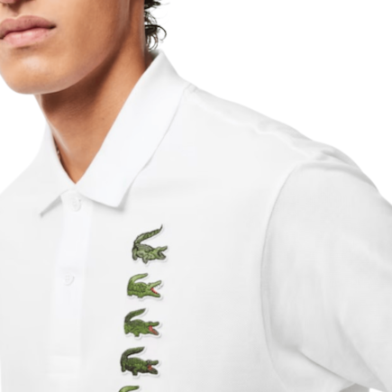 image_3a891192-e6d1-486b-b081-a82794c54005