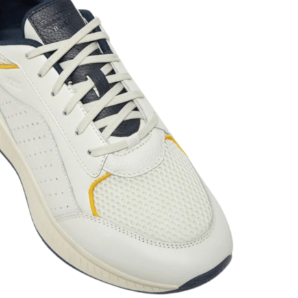 image_a2bbf8aa-05ed-4a89-a879-332d64dd4edd