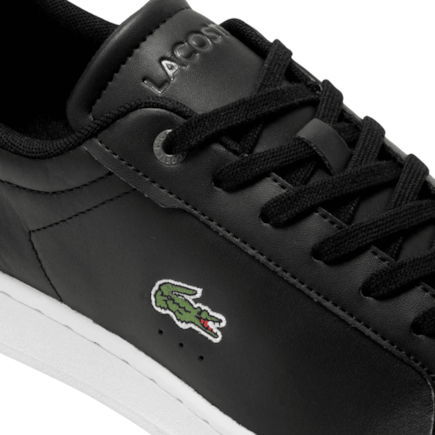 image_06a48a92-95e4-4cb9-9699-01d7582856fe