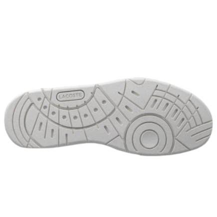 image_00e7f74a-5a67-4145-8fd6-447ac664fc08